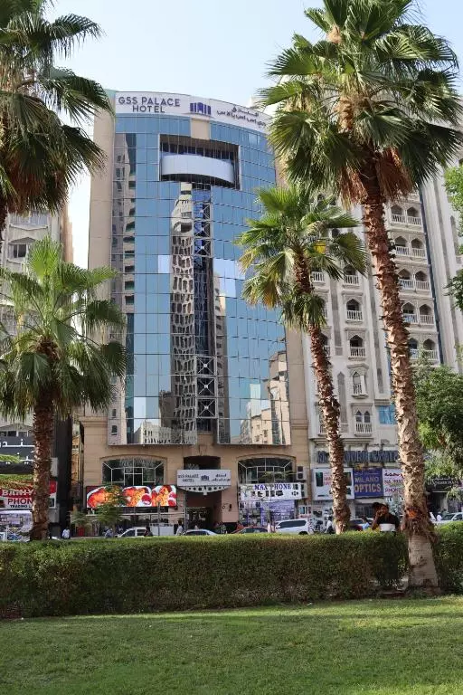 جی اس اس پالاس